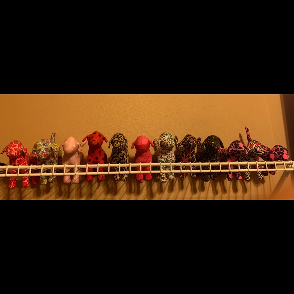 Vs pink collector dogs